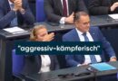 AfD: Das ganz normale Verbot einer ganz normalen Partei